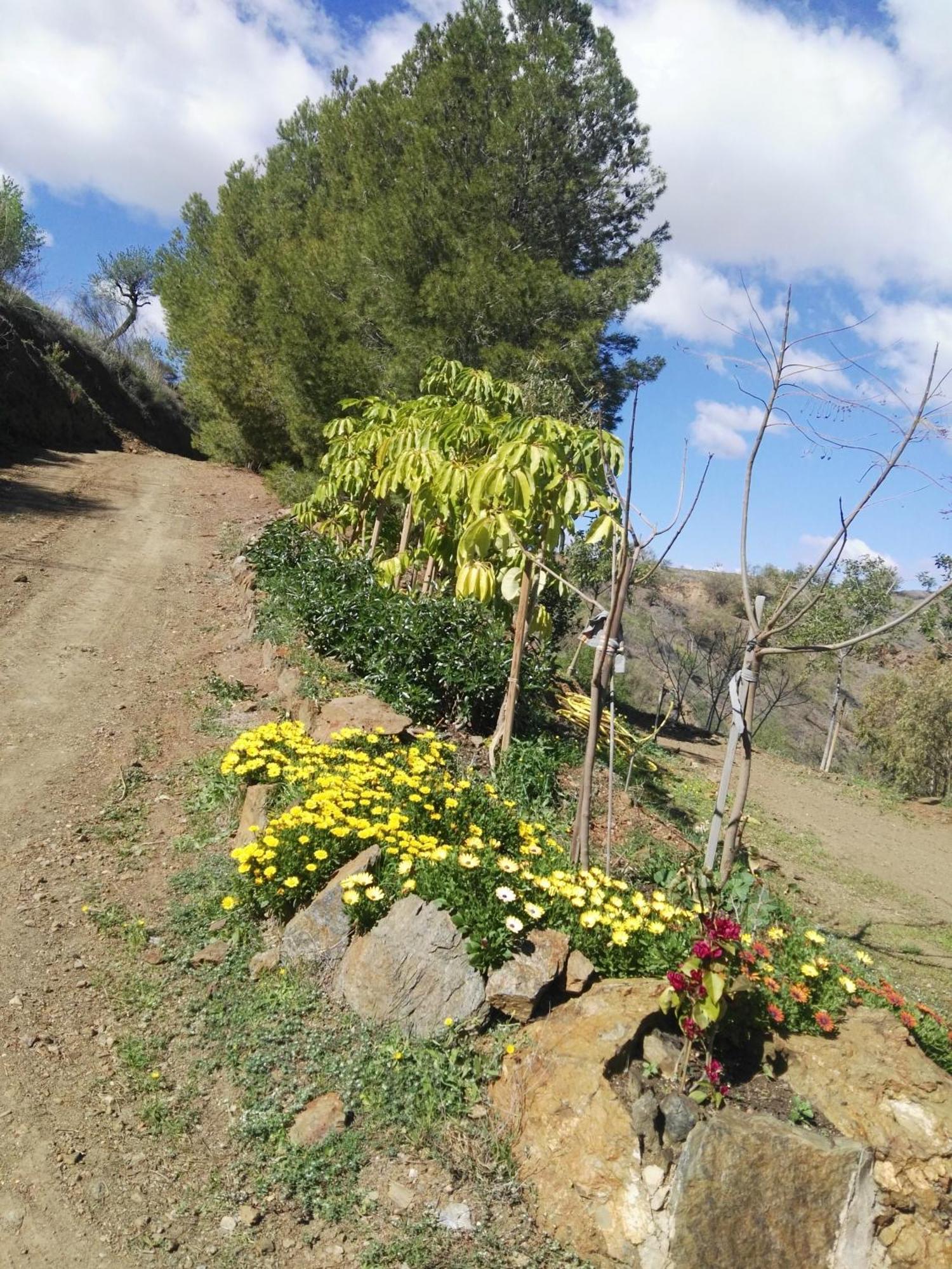 Pinar El Almendra Màlaga