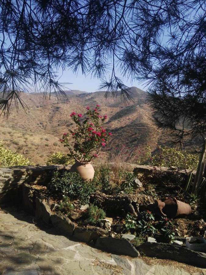 Pinar El Almendra Ferienhaus