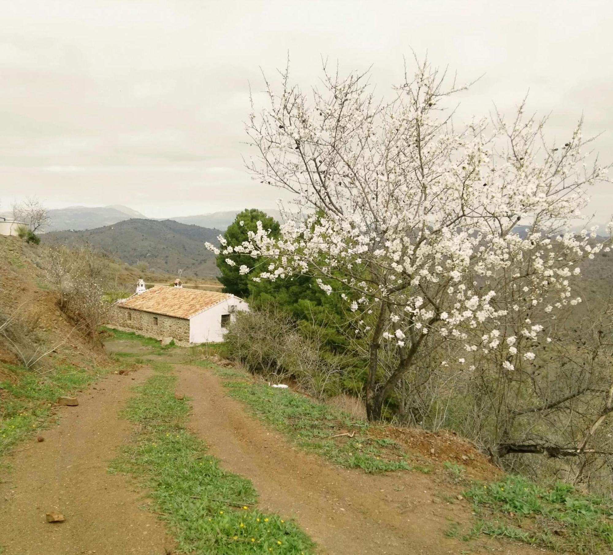 Pinar El Almendra Ferienhaus *