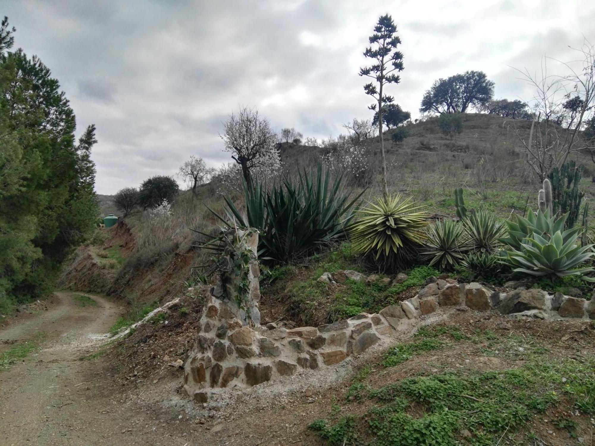 Pinar El Almendra Ferienhaus *