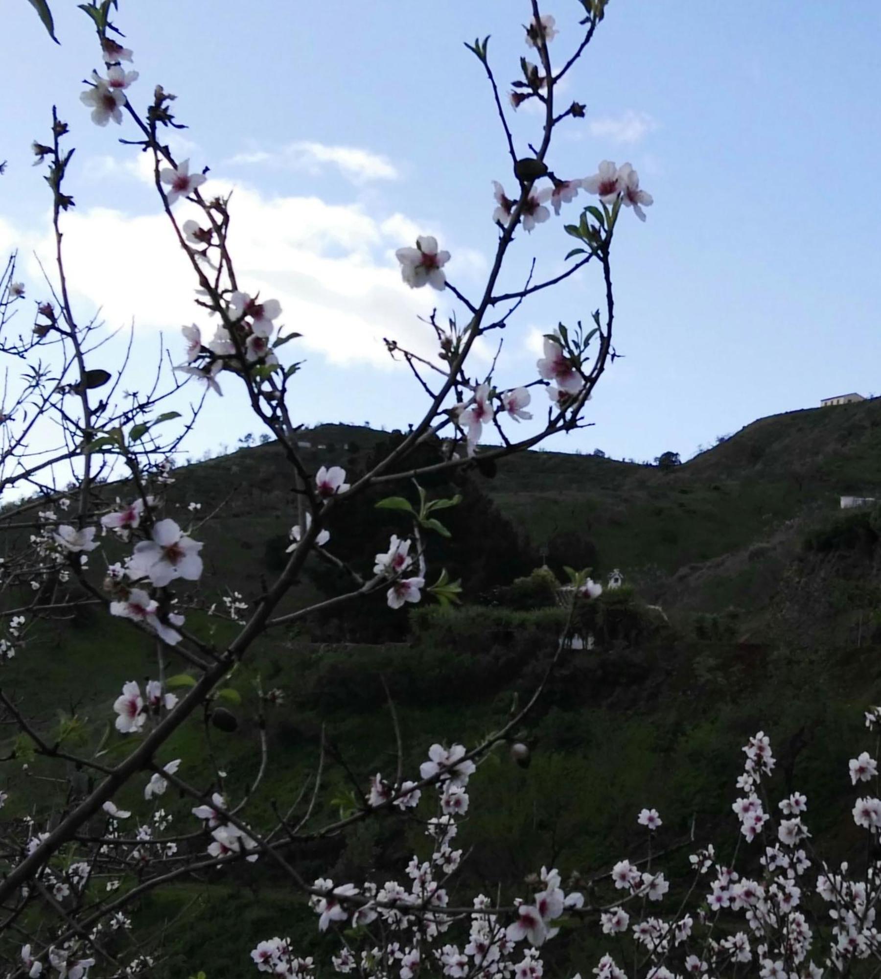 Ferienhaus Pinar El Almendra *